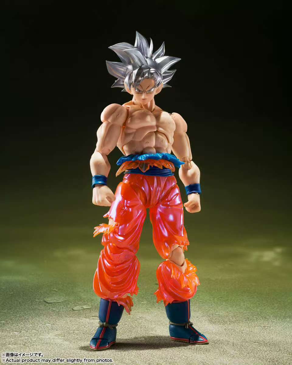 스팟 세일반다이 드래곤볼 TAMASHII NATIONS - Bandai Tamashii Nations S.H.Figuarts 리뷰 및 가격